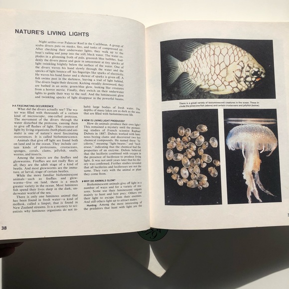 1979 1980 Walt Disney’s Wonderful World of Knowledge Picture Book Yearbook - Picture 10 of 14